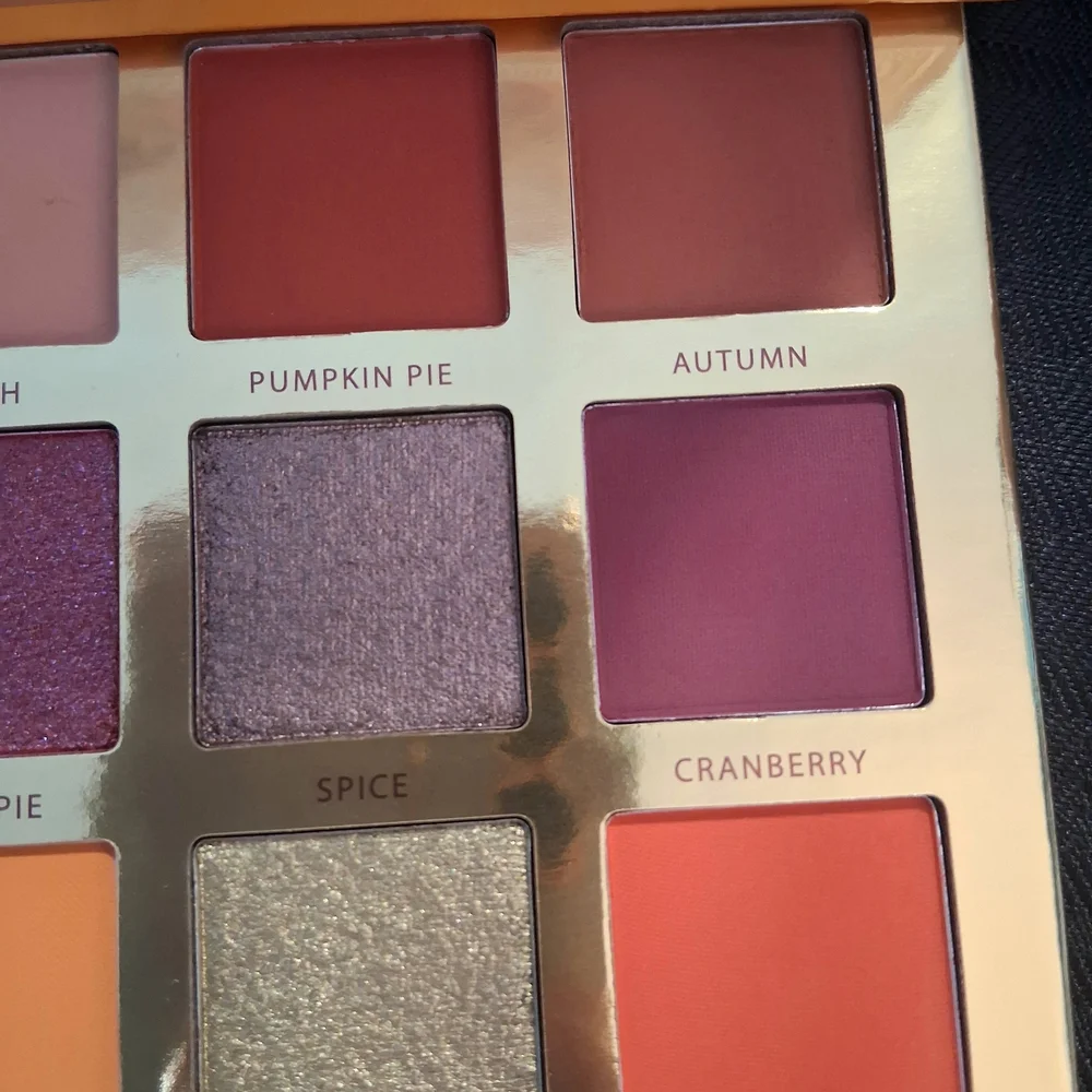 Ace Beaute Falling for You Eyeshadow Palette